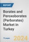 Borates and Peroxoborates (Perborates) Market in Turkey: Business Report 2024 - Product Thumbnail Image