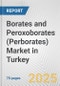 Borates and Peroxoborates (Perborates) Market in Turkey: Business Report 2024 - Product Thumbnail Image