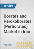 Borates and Peroxoborates (Perborates) Market in Iran: Business Report 2024- Product Image