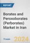 Borates and Peroxoborates (Perborates) Market in Iran: Business Report 2024 - Product Thumbnail Image