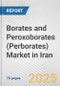 Borates and Peroxoborates (Perborates) Market in Iran: Business Report 2024 - Product Thumbnail Image