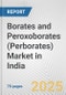 Borates and Peroxoborates (Perborates) Market in India: Business Report 2024 - Product Thumbnail Image