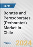 Borates and Peroxoborates (Perborates) Market in Chile: Business Report 2024- Product Image