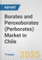 Borates and Peroxoborates (Perborates) Market in Chile: Business Report 2025 - Product Thumbnail Image
