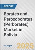 Borates and Peroxoborates (Perborates) Market in Bolivia: Business Report 2024- Product Image