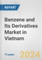 Benzene and Its Derivatives Market in Vietnam: Business Report 2024 - Product Image