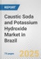 Caustic Soda and Potassium Hydroxide Market in Brazil: Business Report 2024 - Product Image