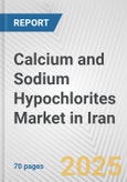 Calcium and Sodium Hypochlorites Market in Iran: Business Report 2025- Product Image