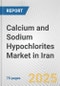 Calcium and Sodium Hypochlorites Market in Iran: Business Report 2025 - Product Thumbnail Image