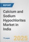 Calcium and Sodium Hypochlorites Market in India: Business Report 2025 - Product Image
