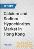 Calcium and Sodium Hypochlorites Market in Hong Kong: Business Report 2024- Product Image