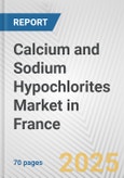 Calcium and Sodium Hypochlorites Market in France: Business Report 2024- Product Image