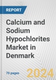 Calcium and Sodium Hypochlorites Market in Denmark: Business Report 2024- Product Image