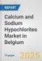 Calcium and Sodium Hypochlorites Market in Belgium: Business Report 2025 - Product Thumbnail Image
