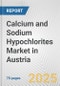Calcium and Sodium Hypochlorites Market in Austria: Business Report 2025 - Product Thumbnail Image