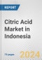 Citric Acid Market in Indonesia: Business Report 2024 - Product Thumbnail Image