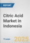 Citric Acid Market in Indonesia: Business Report 2024 - Product Thumbnail Image