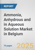 Ammonia, Anhydrous And In Aqueous Solution Market in Belgium: Business Report 2024- Product Image