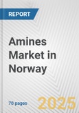 Amines Market in Norway: Business Report 2024- Product Image