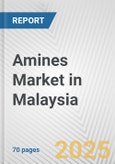 Amines Market in Malaysia: Business Report 2024- Product Image