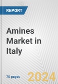 Amines Market in Italy: Business Report 2024- Product Image