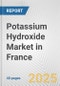 Potassium Hydroxide Market in France: 2017-2023 Review and Forecast to 2027 - Product Thumbnail Image