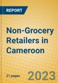 Non-Grocery Retailers in Cameroon- Product Image