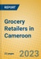 Grocery Retailers in Cameroon - Product Thumbnail Image