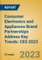 Consumer Electronics and Appliances Brand Partnerships Address Key Trends: CES 2023 - Product Image