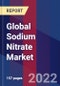 Global Sodium Nitrate Market Size, Share, Growth Analysis, By Application , By Grade - Industry Forecast 2022-2028 - Product Image