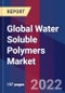 Global Water Soluble Polymers Market Size, Share, Growth Analysis, By Raw Material, By Application - Industry Forecast 2022-2028 - Product Image