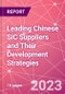 Leading Chinese SiC Suppliers and Their Development Strategies - Product Thumbnail Image