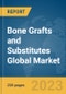 Bone Grafts and Substitutes Global Market Report 2023 - Product Image