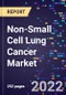 Non-Small Cell Lung Cancer Market, By Type, By Therapy, By Drug Class, and By Region Forecast to 2030 - Product Image