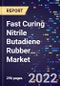 Fast Curing Nitrile Butadiene Rubber Market, By Type, By Distribution Channel, By Application, By End-Use, and By Region Forecast to 2030 - Product Image