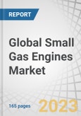 Global Small Gas Engines Market by Equipment (Lawnmower, Chainsaw, String Trimmer, Hedge Trimmer, Portable Generator), Displacement (20-100cc, 101-400cc, 401-650cc), End-User (Gardening, Industrial, Construction), Region - Forecast to 2028- Product Image