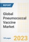 Global Pneumococcal Vaccine Market Size, Trends, Growth Opportunities, Market Share, Outlook by Types, Applications, Countries, and Companies to 2030 - Product Image