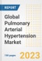 Global Pulmonary Arterial Hypertension Market Size, Trends, Growth Opportunities, Market Share, Outlook by Types, Applications, Countries, and Companies to 2030 - Product Image