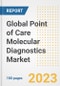 Global Point of Care Molecular Diagnostics Market Size, Trends, Growth Opportunities, Market Share, Outlook by Types, Applications, Countries, and Companies to 2030 - Product Image