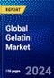 Global Gelatin Market (2023-2028) Competitive Analysis, Impact of Economic Slowdown & Impending Recession, Ansoff Analysis - Product Image