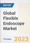 Global Flexible Endoscope Market Size, Trends, Growth Opportunities, Market Share, Outlook by Types, Applications, Countries, and Companies to 2030 - Product Image