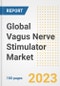 Global Vagus Nerve Stimulator Market Size, Trends, Growth Opportunities, Market Share, Outlook by Types, Applications, Countries, and Companies to 2030 - Product Image
