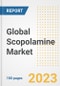 Global Scopolamine Market Size, Trends, Growth Opportunities, Market Share, Outlook by Types, Applications, Countries, and Companies to 2030 - Product Image