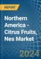 Northern America - Citrus Fruits, Nes - Market Analysis, Forecast, Size, Trends and Insights - Product Image