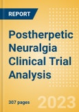 Postherpetic Neuralgia Clinical Trial Analysis by Trial Phase, Trial Status, Trial Counts, End Points, Status, Sponsor Type and Top Countries, 2023 Update- Product Image