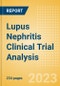 Lupus Nephritis Clinical Trial Analysis by Trial Phase, Trial Status, Trial Counts, End Points, Status, Sponsor Type and Top Countries, 2023 Update - Product Image