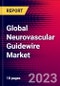 Global Neurovascular Guidewire Market Size, Share & Trends Analysis 2023-2029 MedCore - Product Thumbnail Image