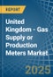 United Kingdom - Gas Supply or Production Meters - Market Analysis, Forecast, Size, Trends and Insights - Product Thumbnail Image