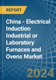 China - Electrical Induction Industrial or Laboratory Furnaces and Ovens - Market Analysis, Forecast, Size, Trends and Insights- Product Image