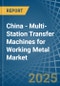 China - Multi-Station Transfer Machines for Working Metal - Market Analysis, forecast, Size, Trends and Insights - Product Thumbnail Image